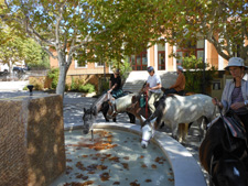 France-Provence-Cezanne Ride in Provence